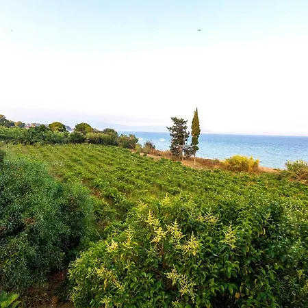 Seaheaven B4 - Beachfront Nest Memi,